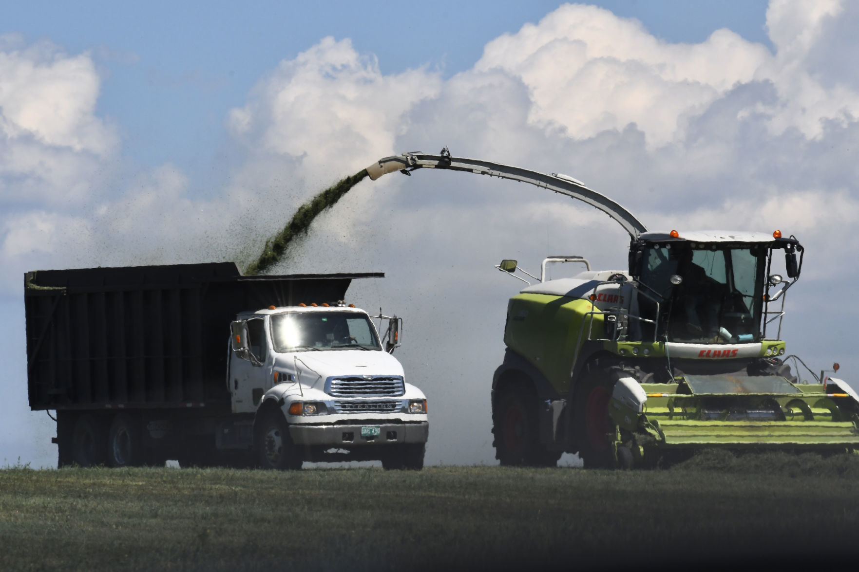 Getting the hay in
